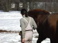 место шенкеля.webp