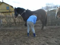 SAM_0760.webp