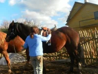 SAM_0764.webp