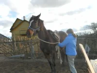 SAM_0780.webp