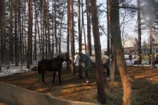 DPP_0017.webp