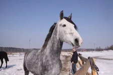 DPP_0035.webp