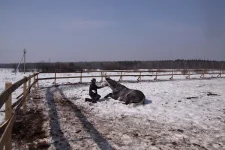 DPP_0040.webp
