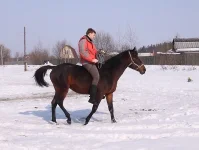 DPP_0045.webp