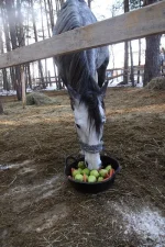 DPP_0057.webp