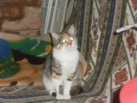 SAM_0791.webp