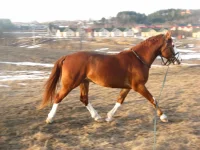 y_4eb5e06b.webp