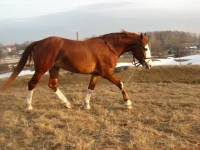 y_26b4648a.webp