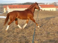 y_30d7d5b6.webp