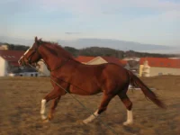 y_77c11018.webp