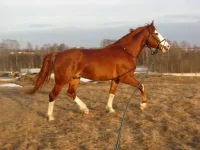 y_5670ccc2.webp
