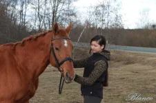 гольф3.webp