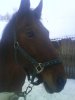 DSC00066.jpg