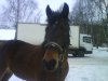 DSC00113.JPG