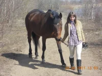 гуляем.webp