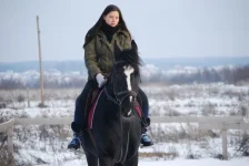 x_9d7460ef.webp