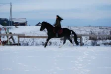 x_8015ab59.webp