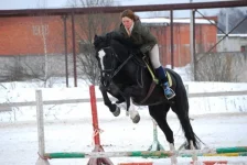 x_5547b4a9.webp