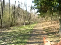 SAM_0888.webp