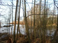 SAM_0892.webp
