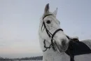 m_ee9433d2[1].webp
