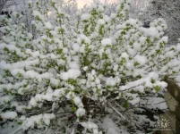 getImage (17).webp