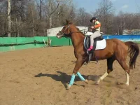 MVI_0424.AVI_snapshot_00.20_[2011.04.23_18.40.12].webp