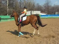 MVI_0424.AVI_snapshot_00.20_[2011.04.23_18.35.05].webp