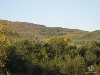 getImage (3).webp