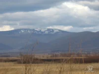 getImage (6).webp