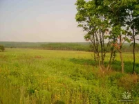 getImage (10).webp