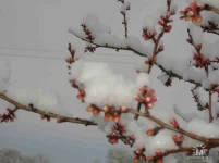 getImage (12).webp
