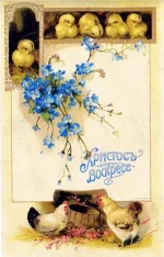 192c3a9a2090.webp