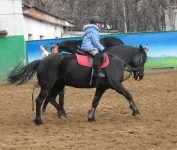 IMG_0406_thumb.webp