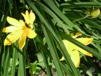 getImage (24).webp