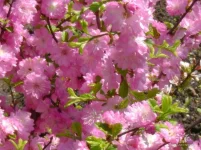 getImage (22).webp