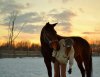 DSC_0074.JPG
