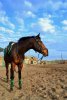 DSC_0769.JPG