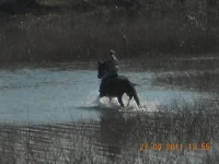 водичка.webp
