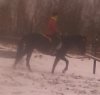 IMG_20161105_213131_193.jpg