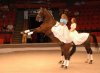 full_1413949905[1].jpg