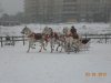 DSCN2397.JPG