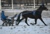 IMG-20161216-WA0010.jpg