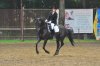 HORSE_0033.JPG
