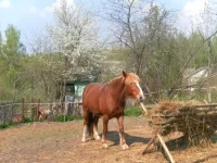 SAM_0948.webp
