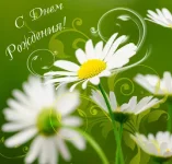 71a43c979665.webp