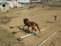 y_cd7e4f95.webp