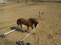 y_d49a2e26.webp