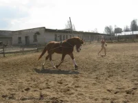 y_e61097e4.webp