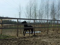 DSCF5980.webp